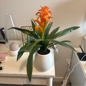 Opalhouse Faux Plant Bromeliad Orange In White Pot 18” Tall